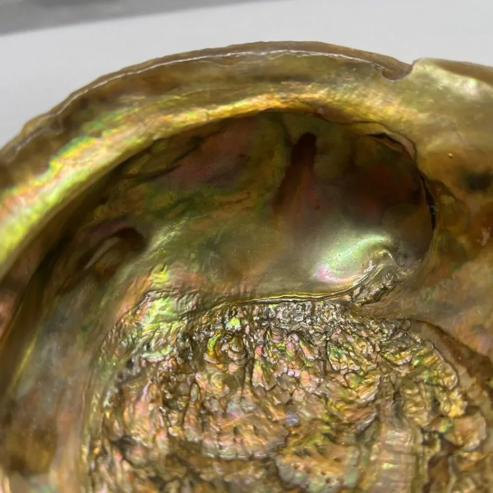 Vintage Iridescent Abalone Shell Trinket Candy Dish Footed Bowl Natural Decor